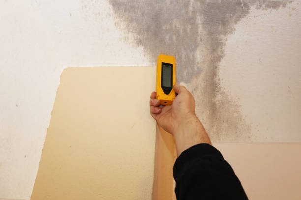 Best Airborne Mold Testing  in Newark, NJ