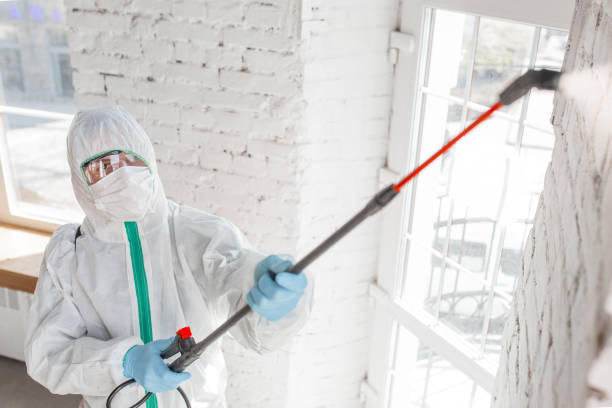 Best Biohazard Mold Removal  in Newark, NJ