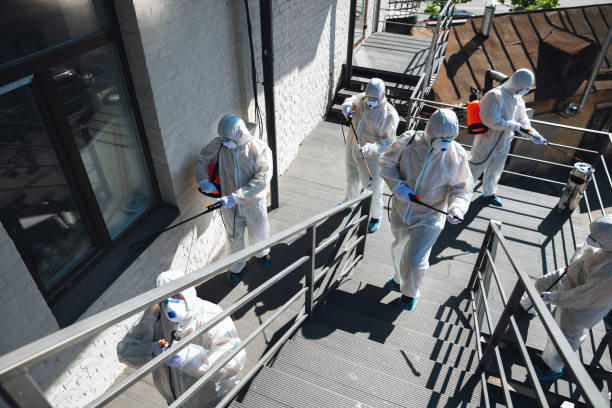  Newark, NJ Mold Removal Pros