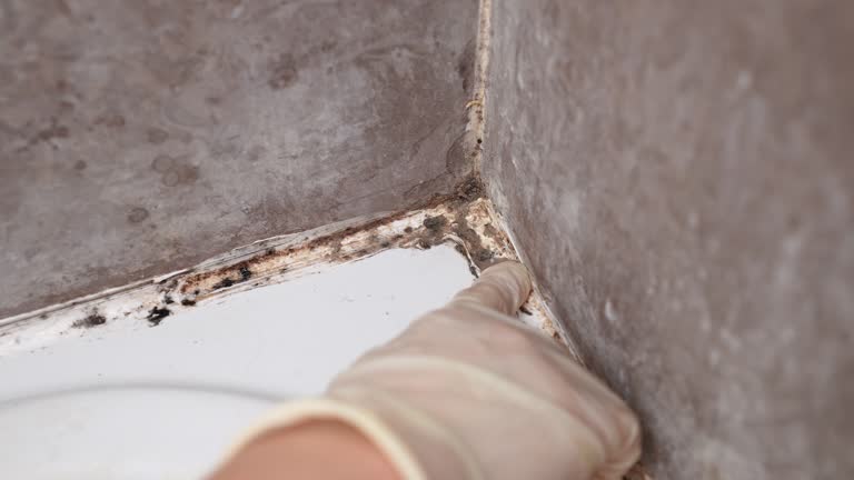 Best Dehumidification Services  in Newark, NJ